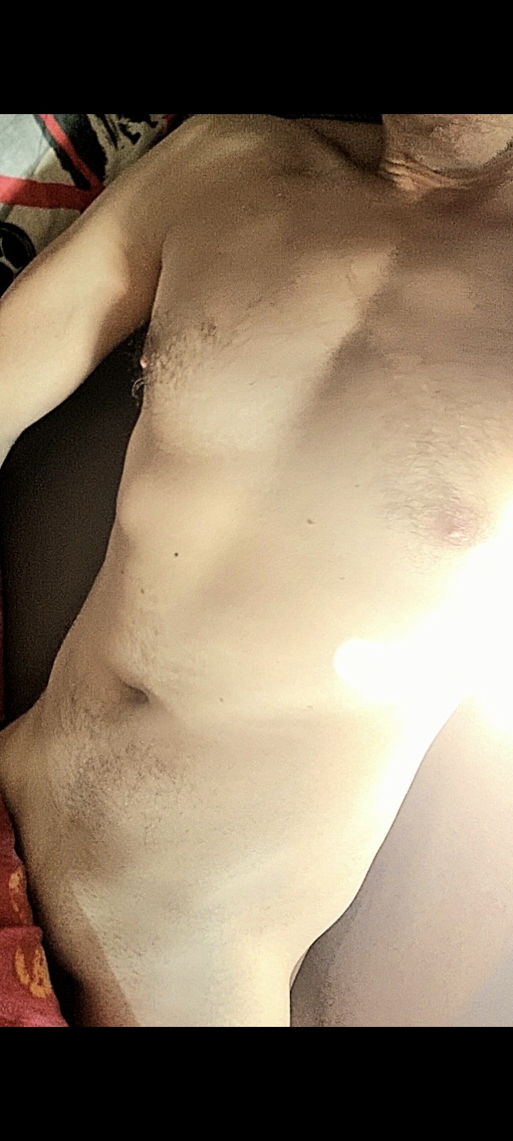 Profil de Sebastiano