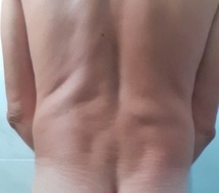 Profil de Zadig